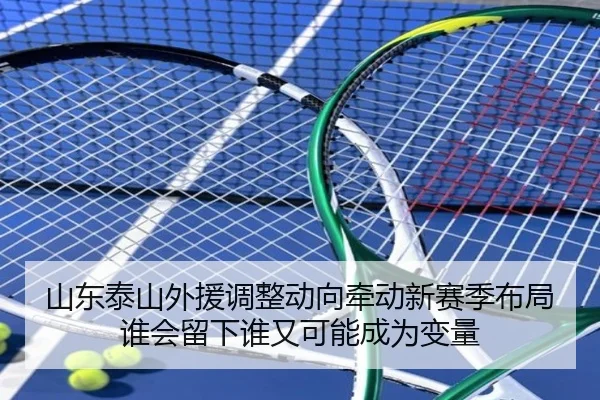 山东泰山外援调整动向牵动新赛季布局谁会留下谁又可能成为变量